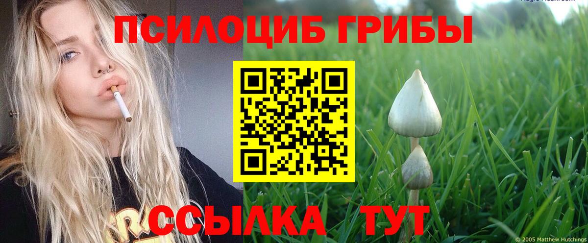 Галлюциногенные грибы MAGIC MUSHROOMS  Вход с VPN  Галлюциногенные грибы мицелий  Братск 